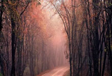 2012年NBA总决赛G5发生了什么？经典回放带你重温热血巅峰对决